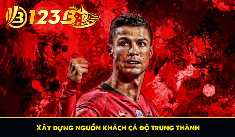 Cách kiếm tiền từ cá độ bóng đá không phải ai cũng biết 9 Xây dựng nguồn khách cá độ trung thành